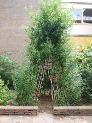 BSO Ondersteboven - Wilgen tipi